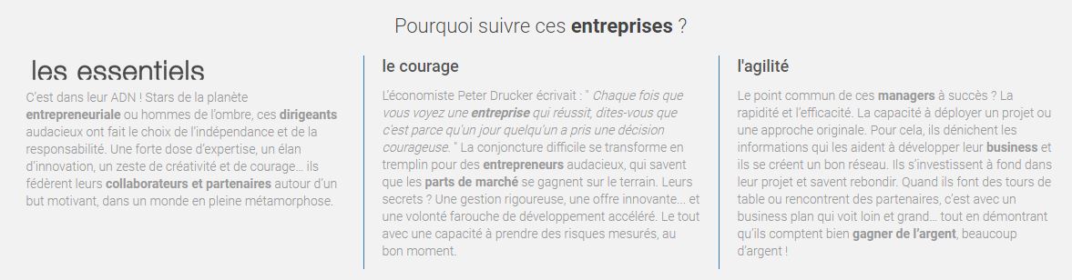 pourquoi ces entreprises?